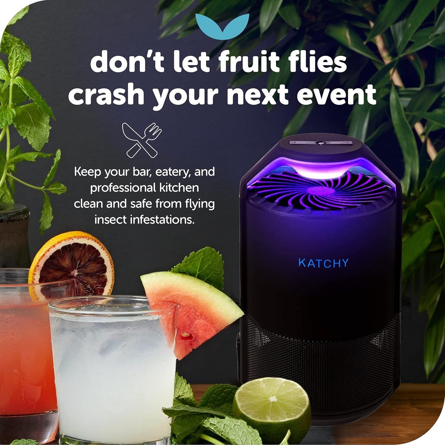 insect trap