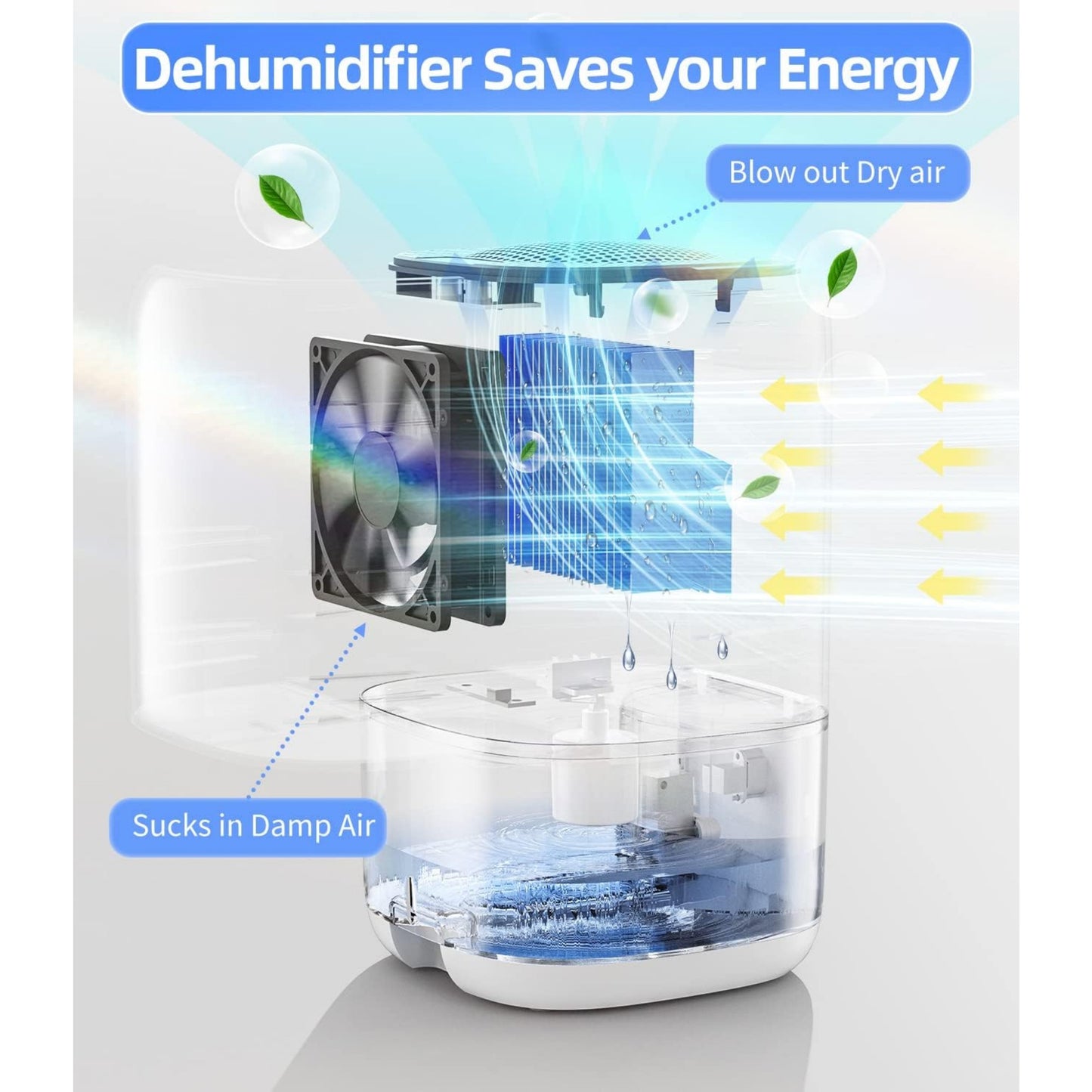 Dehumidifier