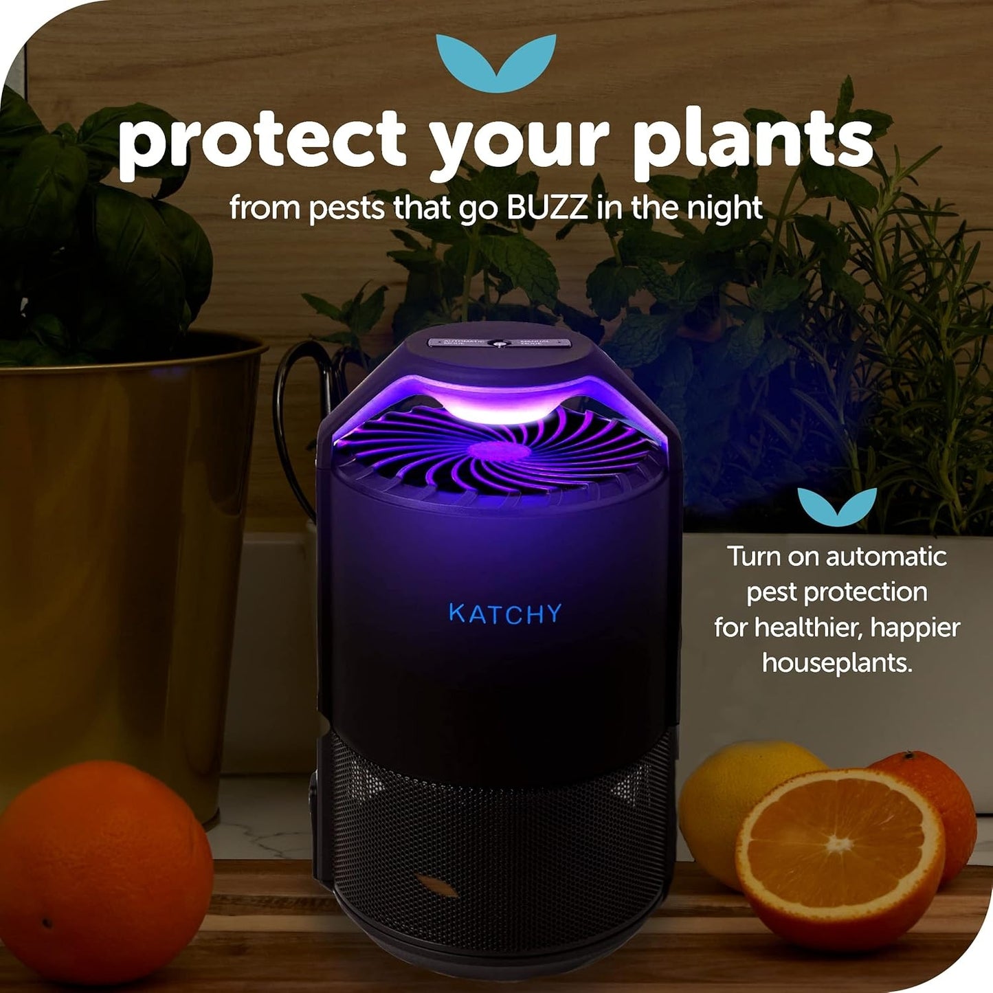 insect trap