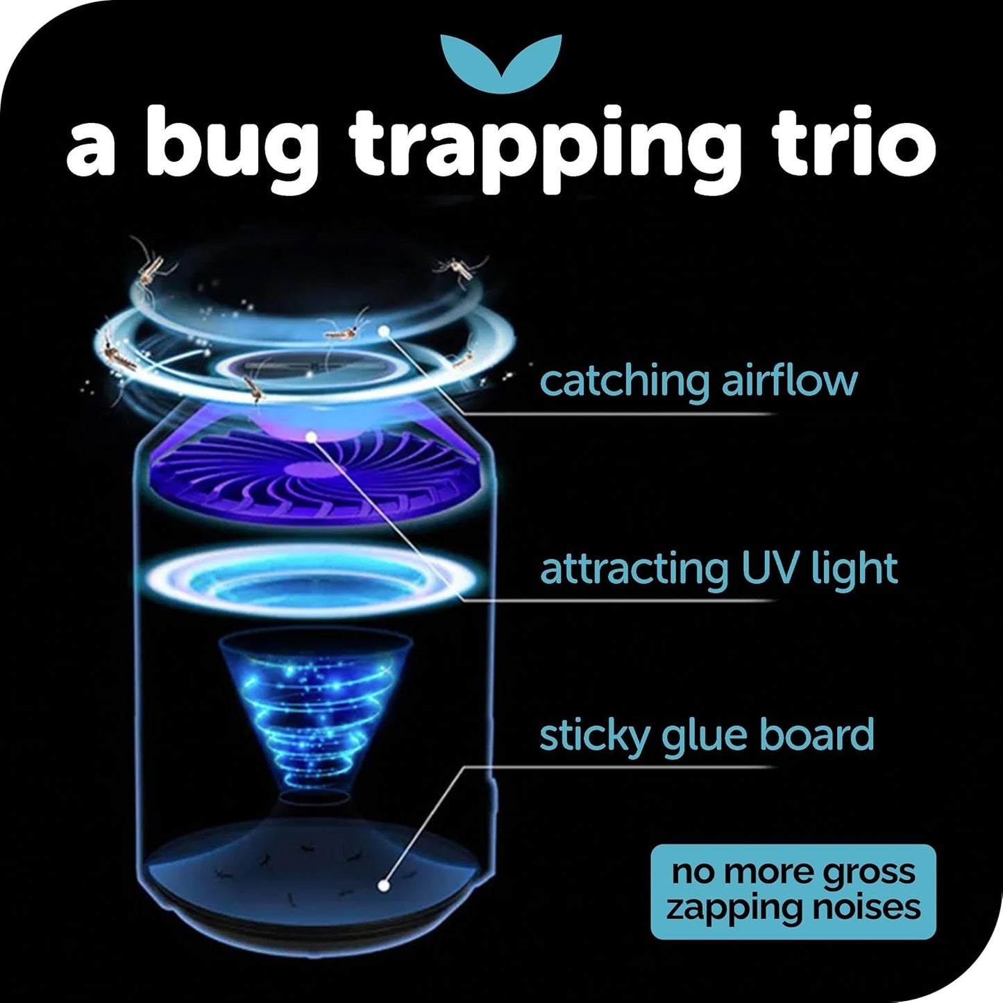 insect trap