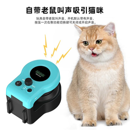 Cat walking pet toys